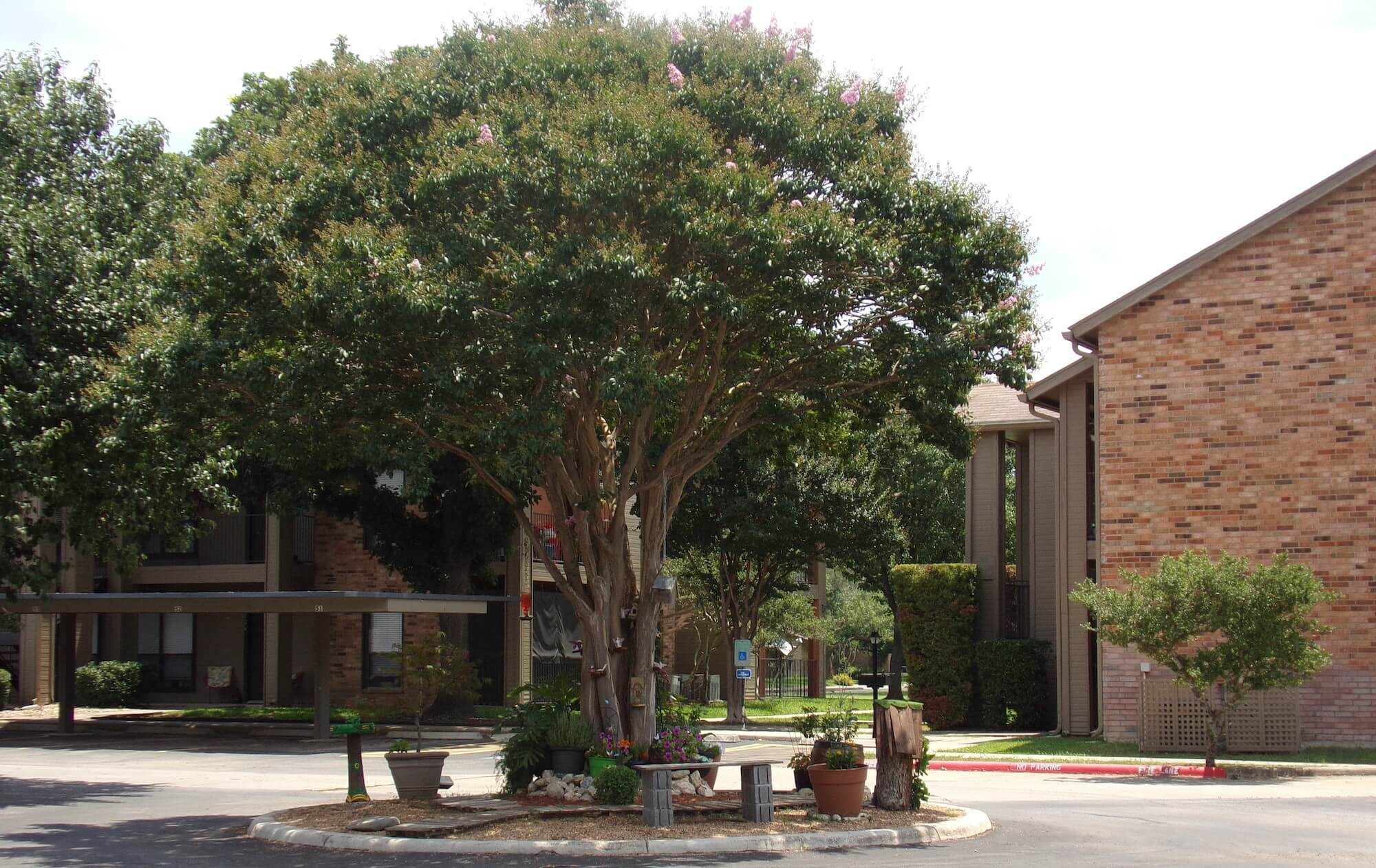 Arbors of Boerne Apartments community garden area.