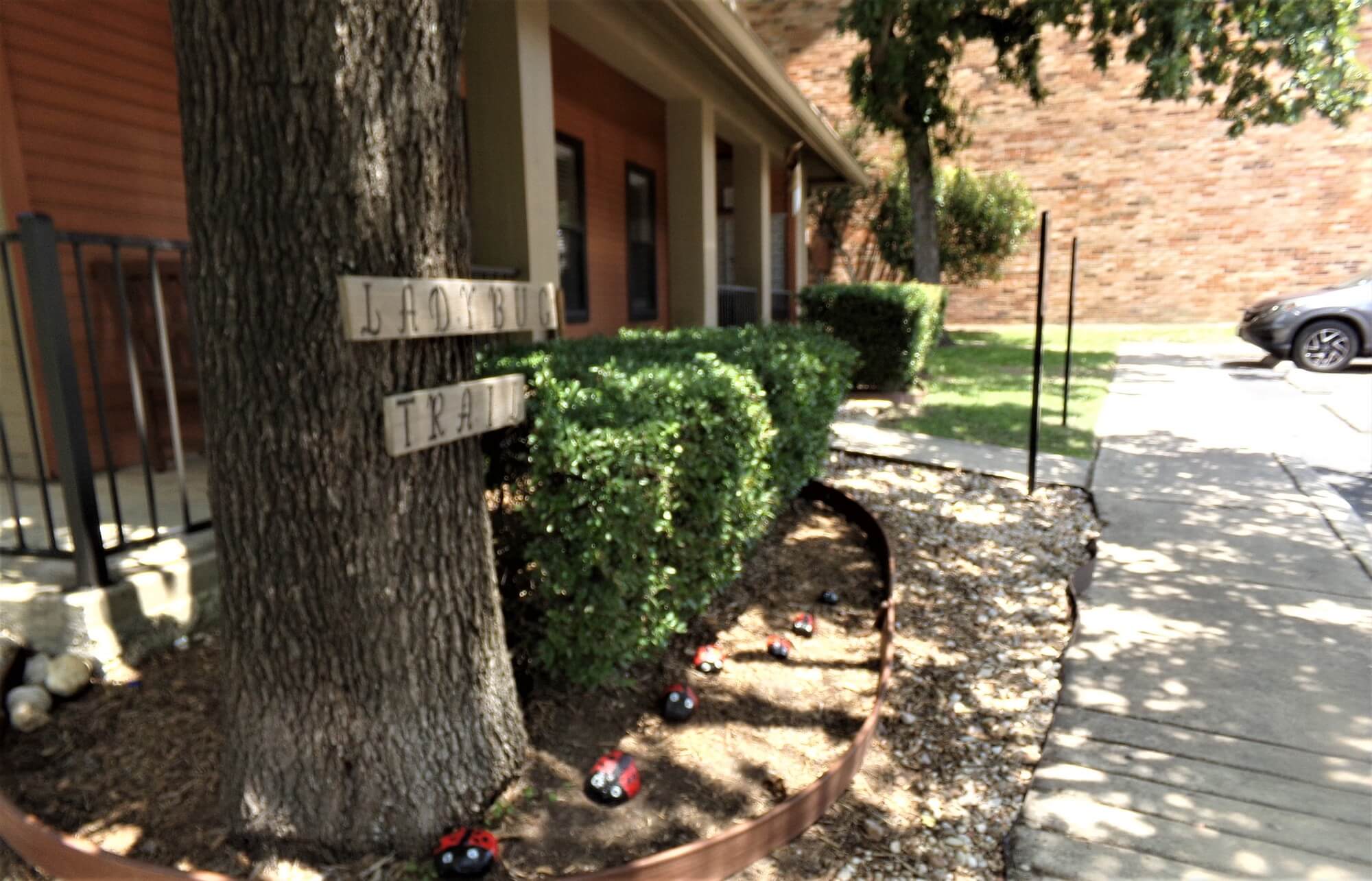 Arbors of Boerne Apartments lady bug trail around bushes and a tree.