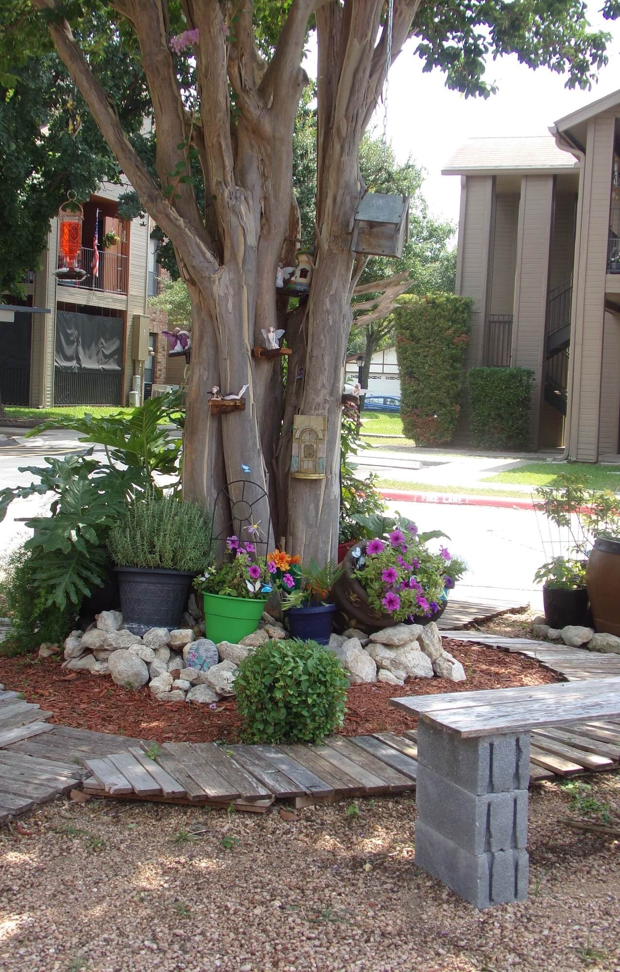 Arbors of Boerne Apartments garden area.