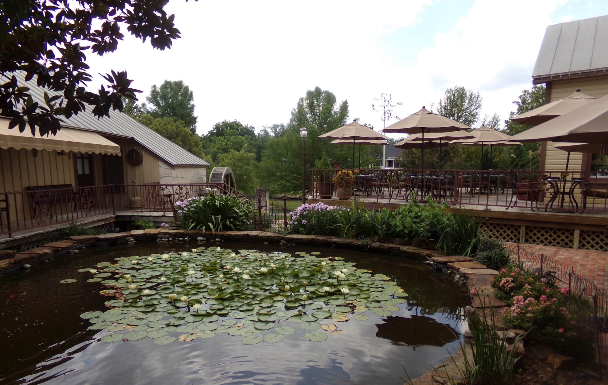 A pond filled with lily pads and next to an eating area of tables, chairs, and umbrellas.